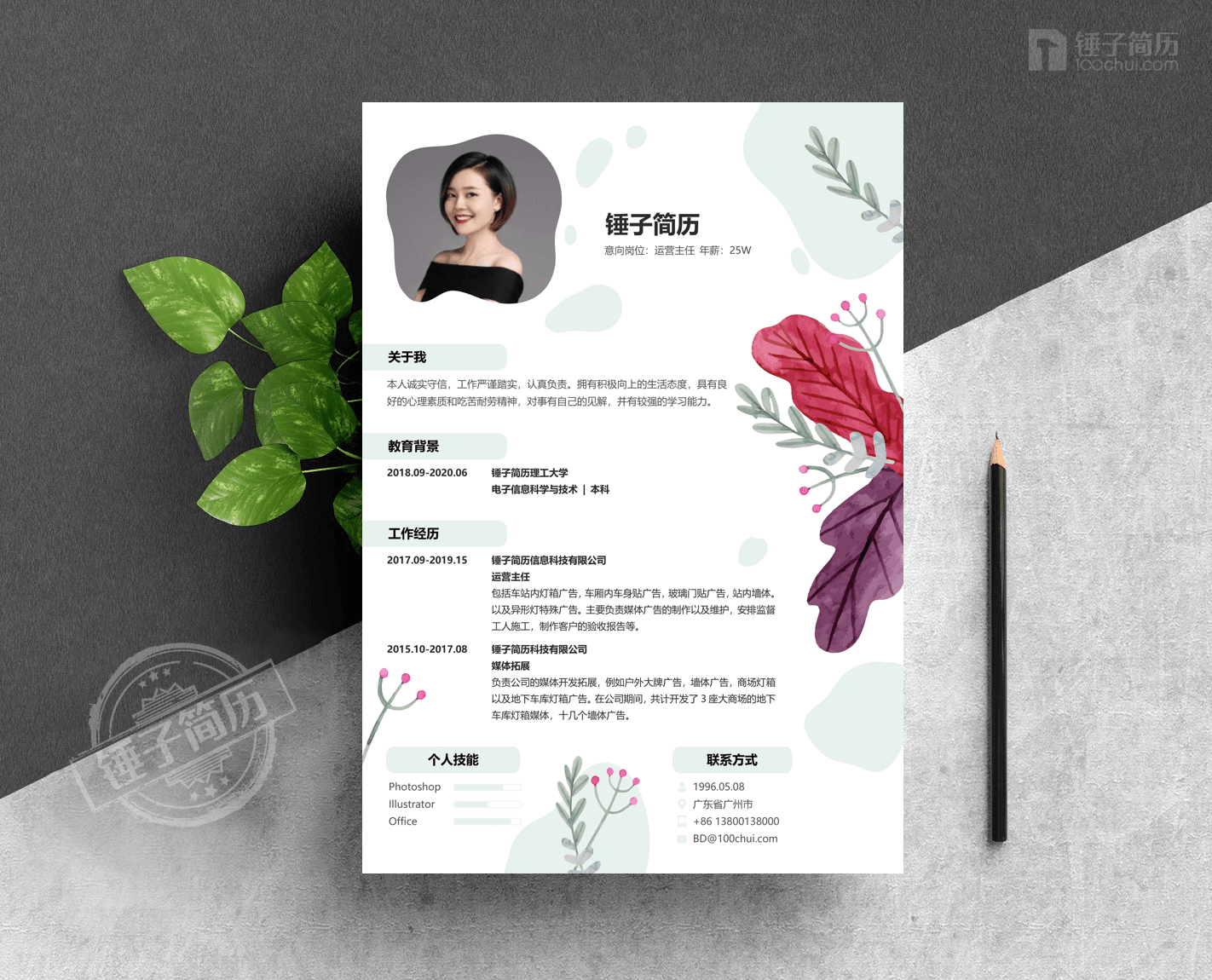 简历模板 简历模板,锤子简历,简历工具,简历制作