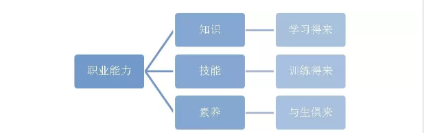 职业能力解析