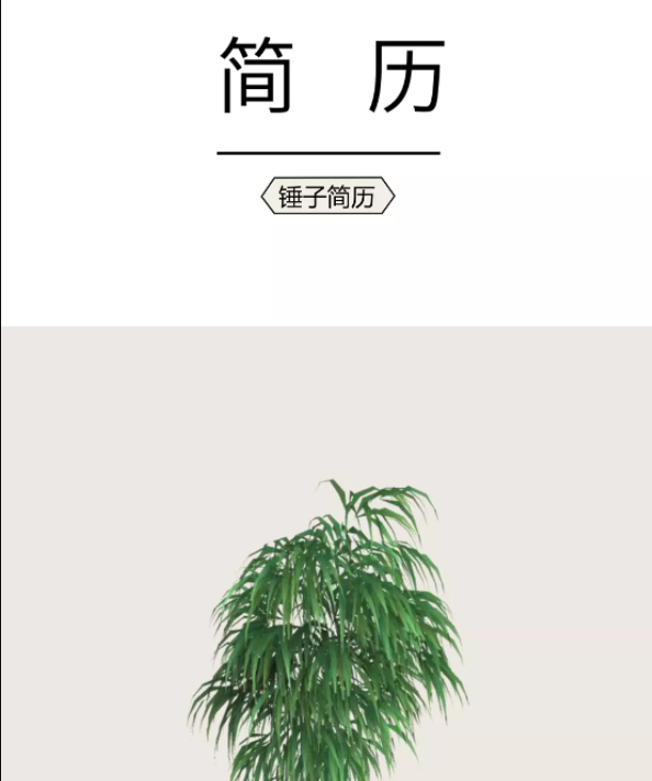 简历模板