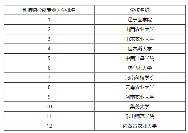简历模板