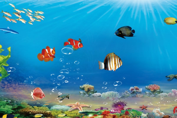 最新水族科学与技术专业大学排名