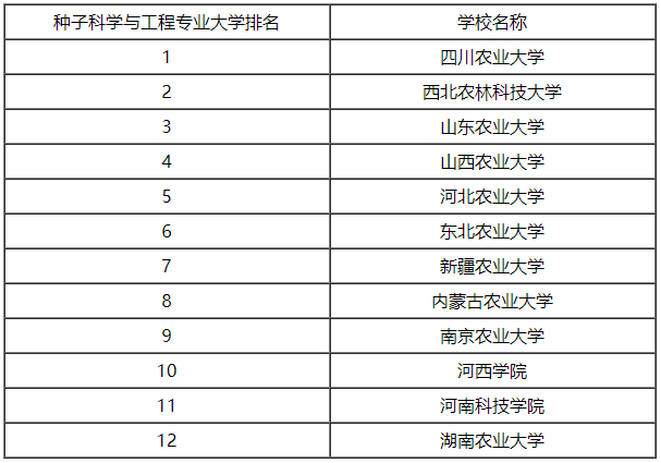 简历模板