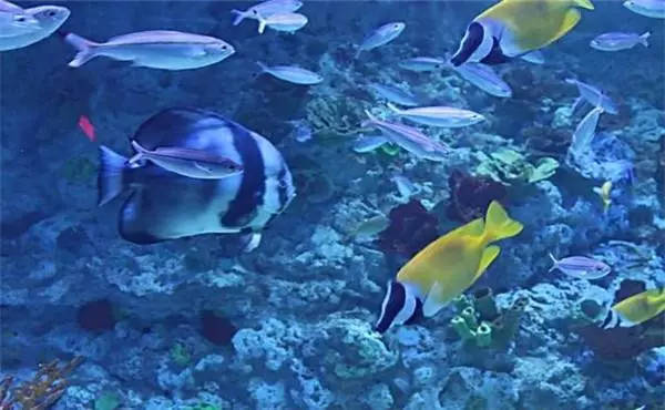 2021水族科学与技术专业大学排名