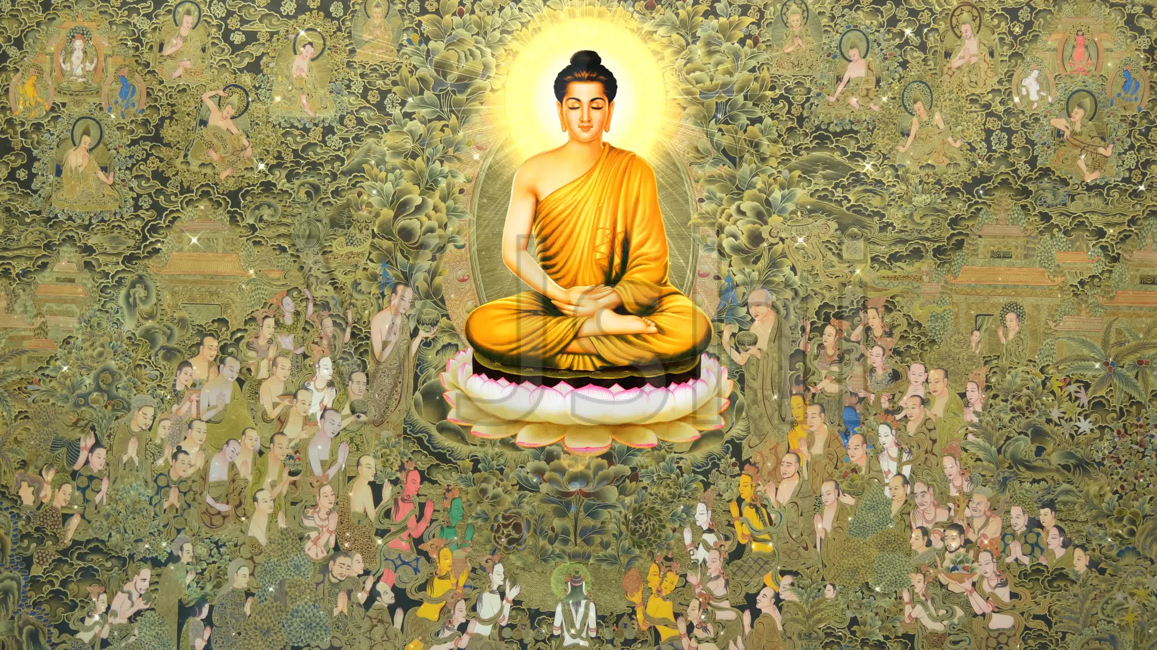 简历模板