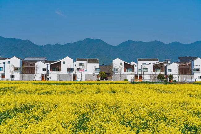 最新农林区域发展专业大学排名