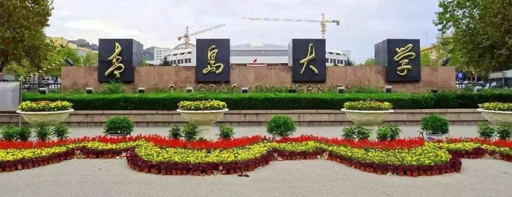 2022年青岛大学专业排名及介绍