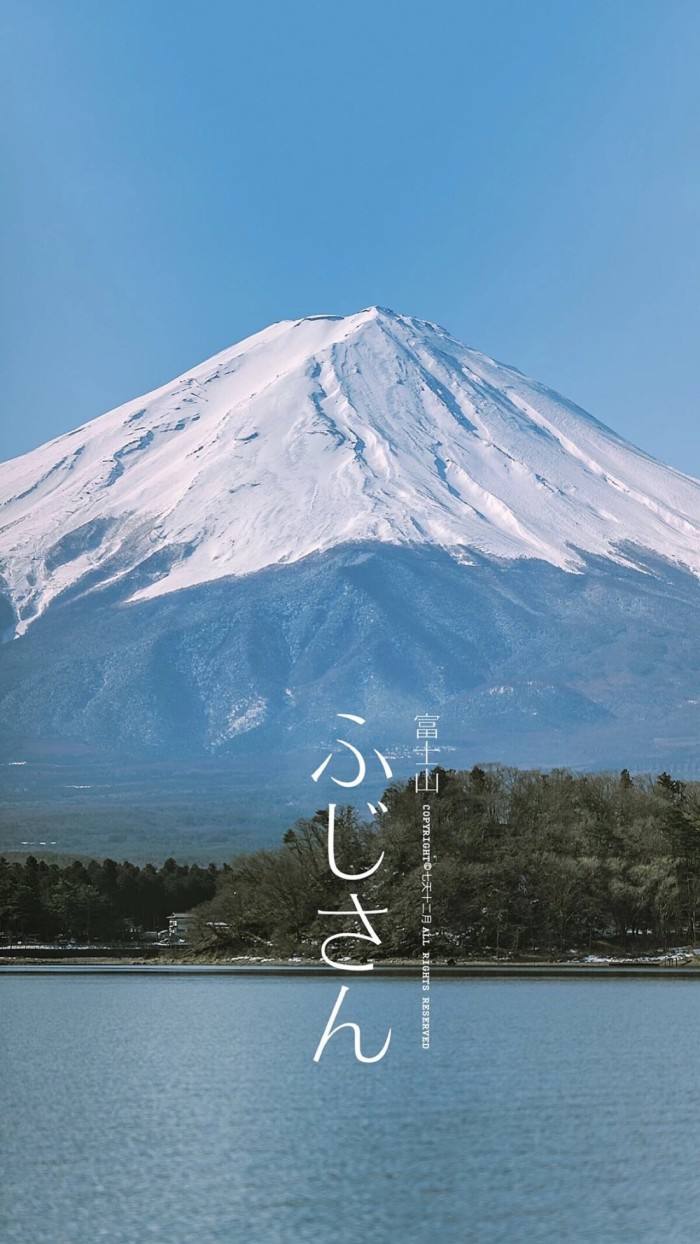 简历模板