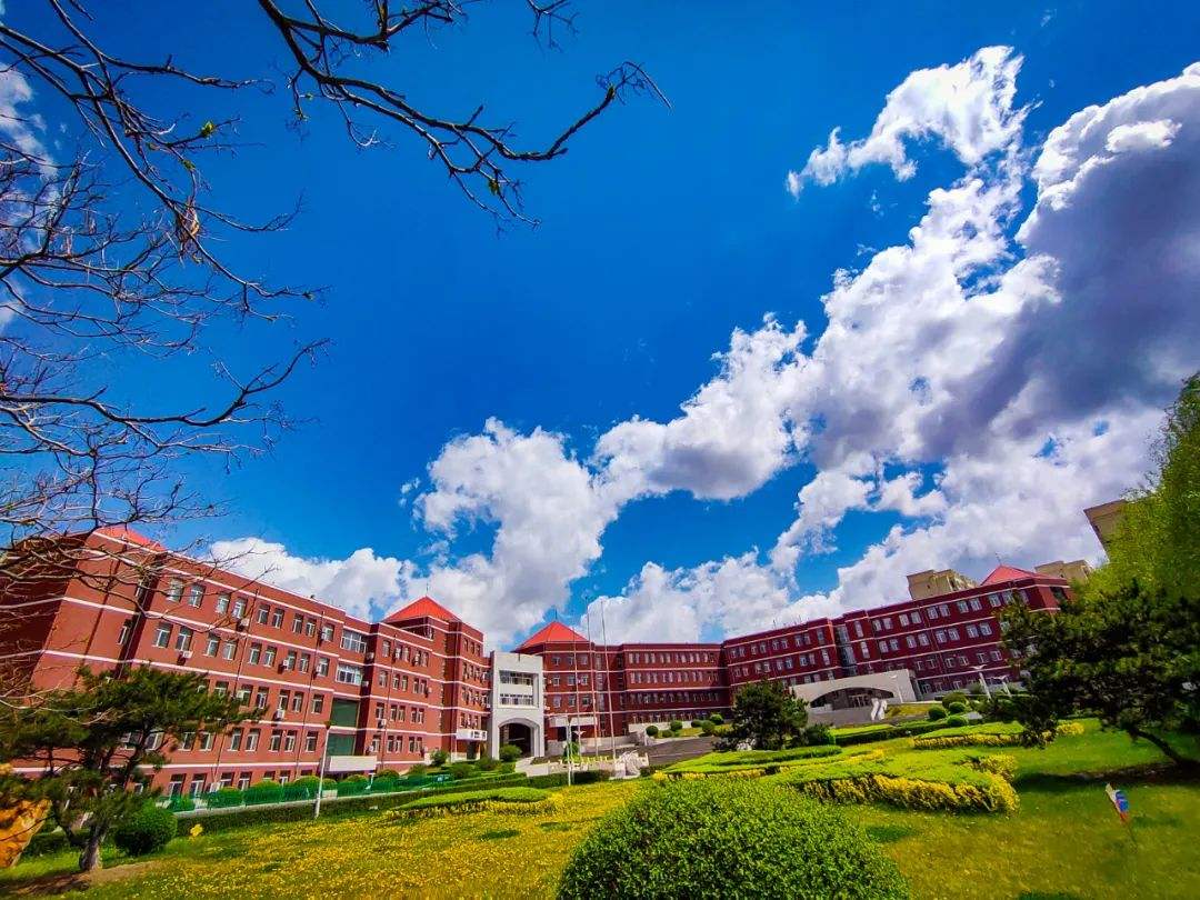 2022师范专业大学排名