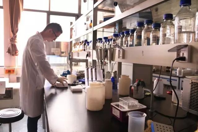 最新全国轻工技术与工程专业大学排名