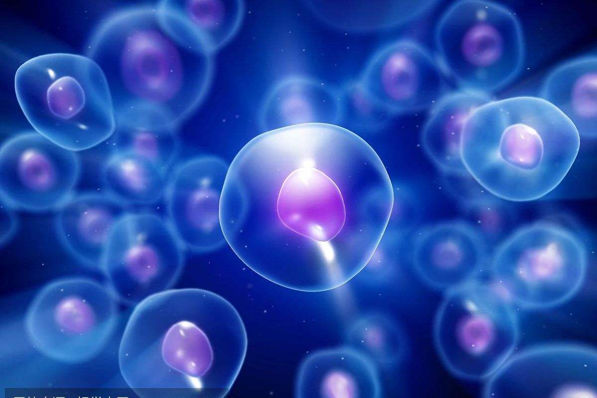 最新全国发育生物学专业大学排名