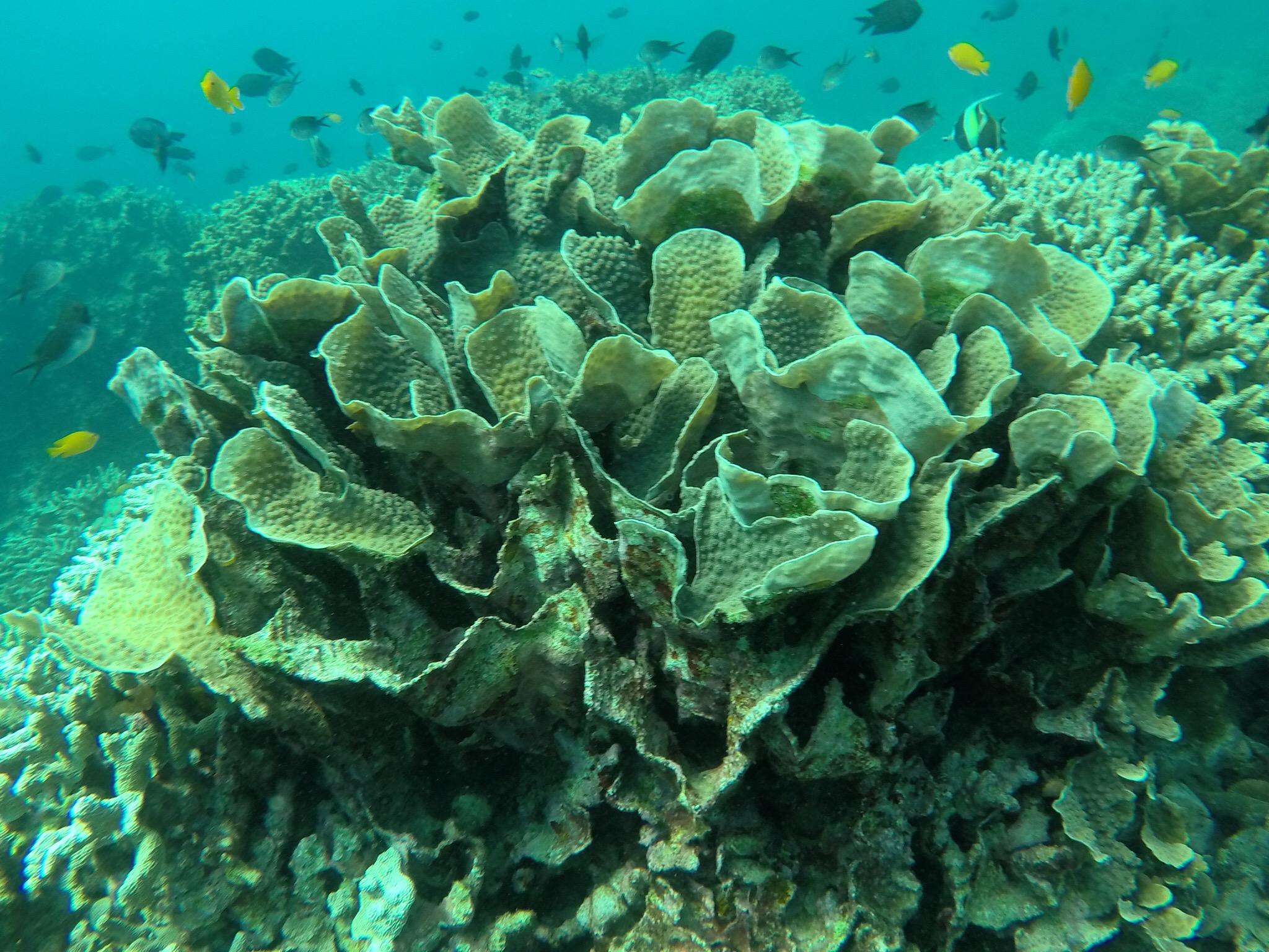 最新全国水生生物学专业大学排名
