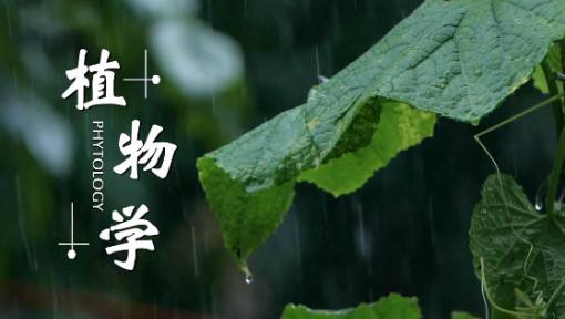 最新全国植物学专业大学排名