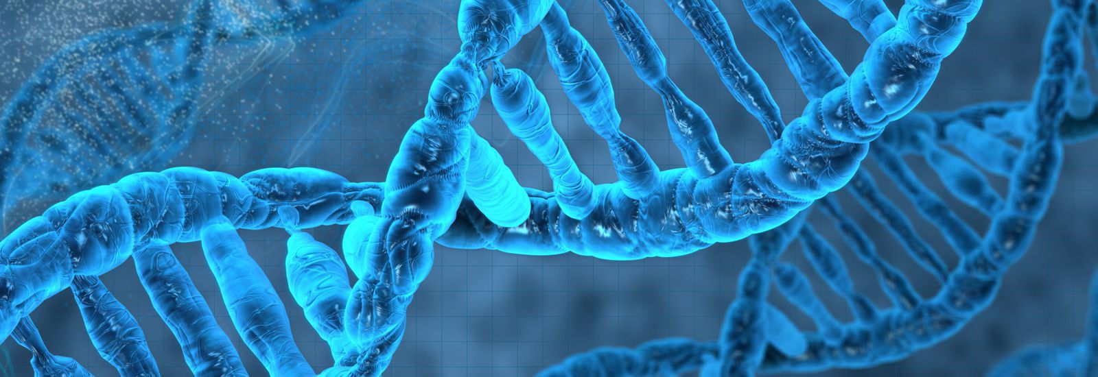 最新全国生物化学与分子生物学专业大学排名
