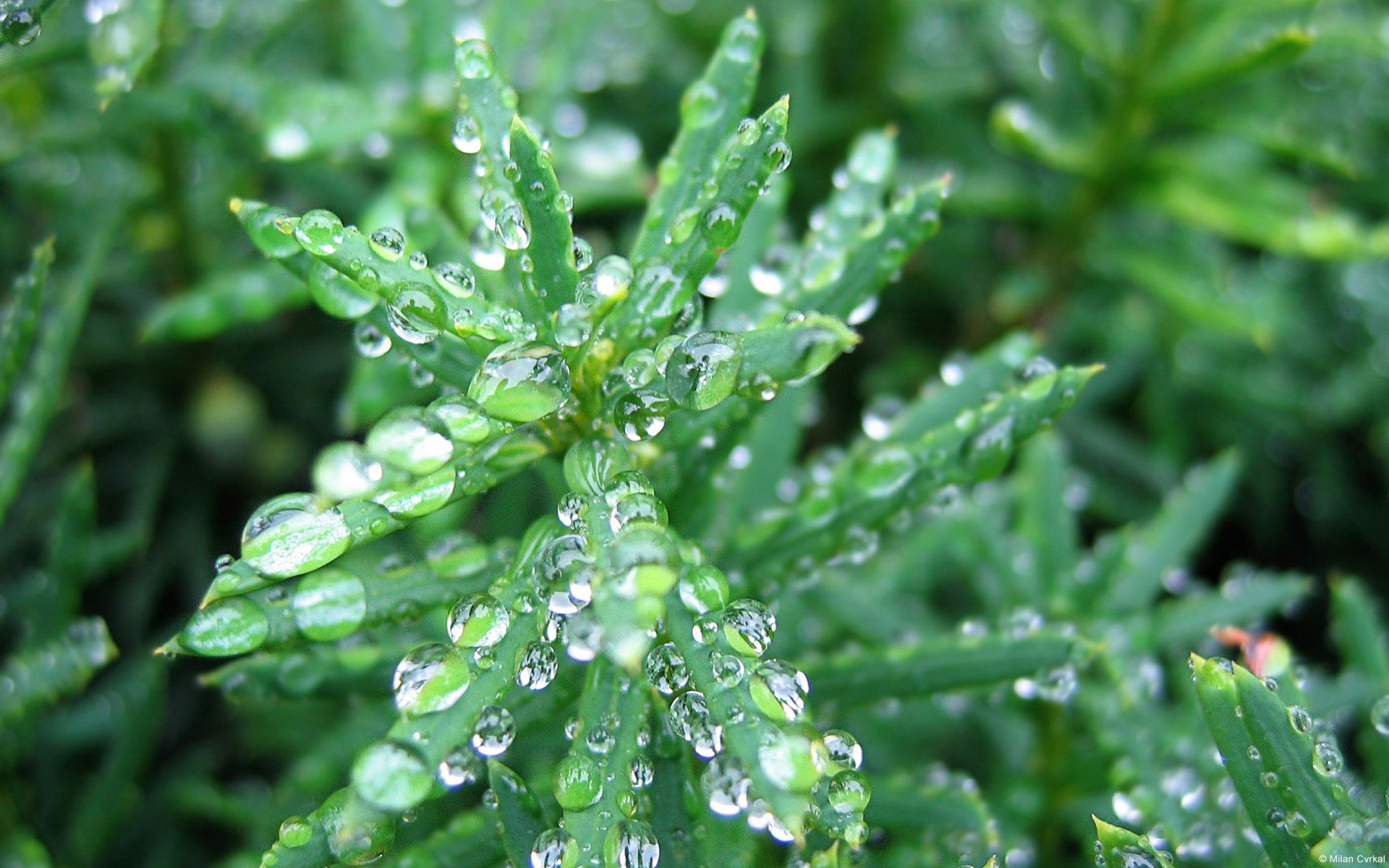 最新全国植物科学与技术专业大学排名