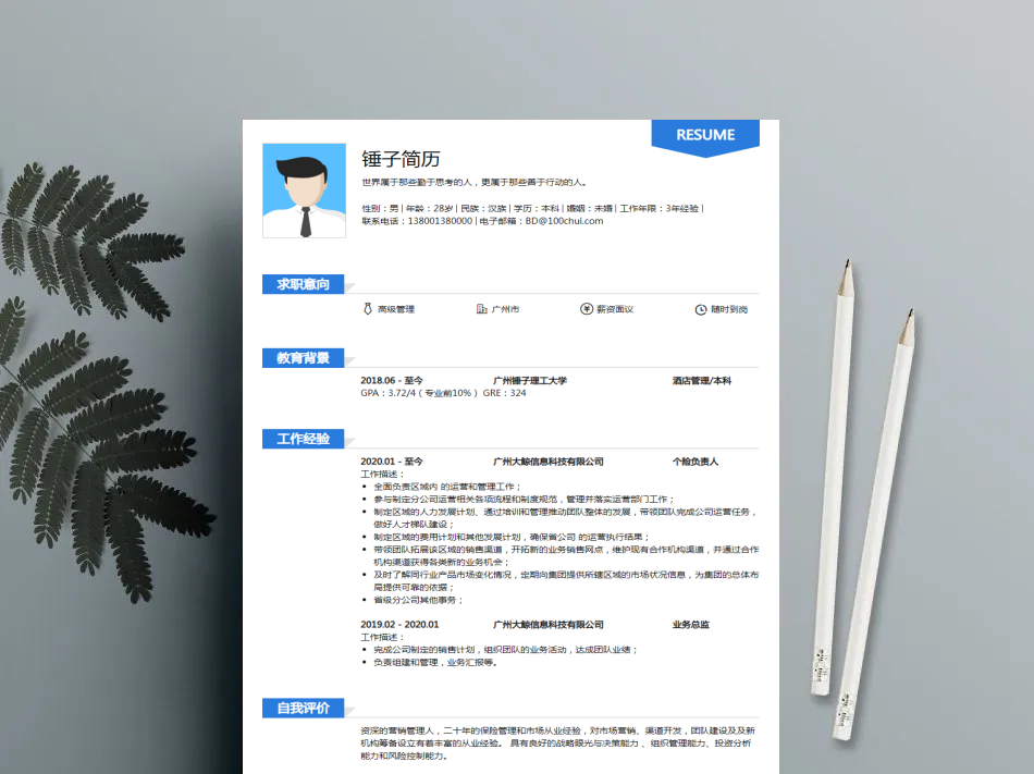 简历模板