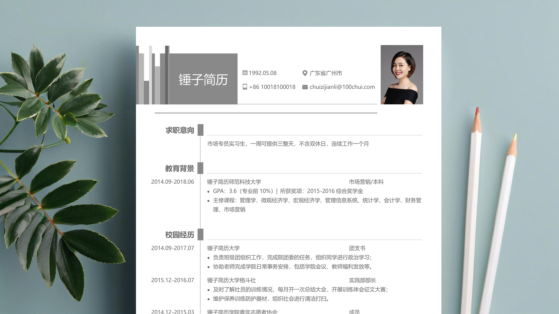 审计助理简历项目范例