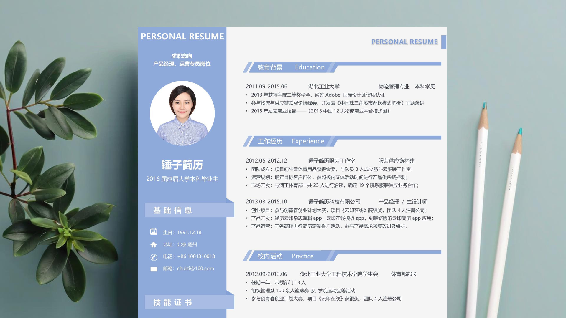 客户经理简历模板