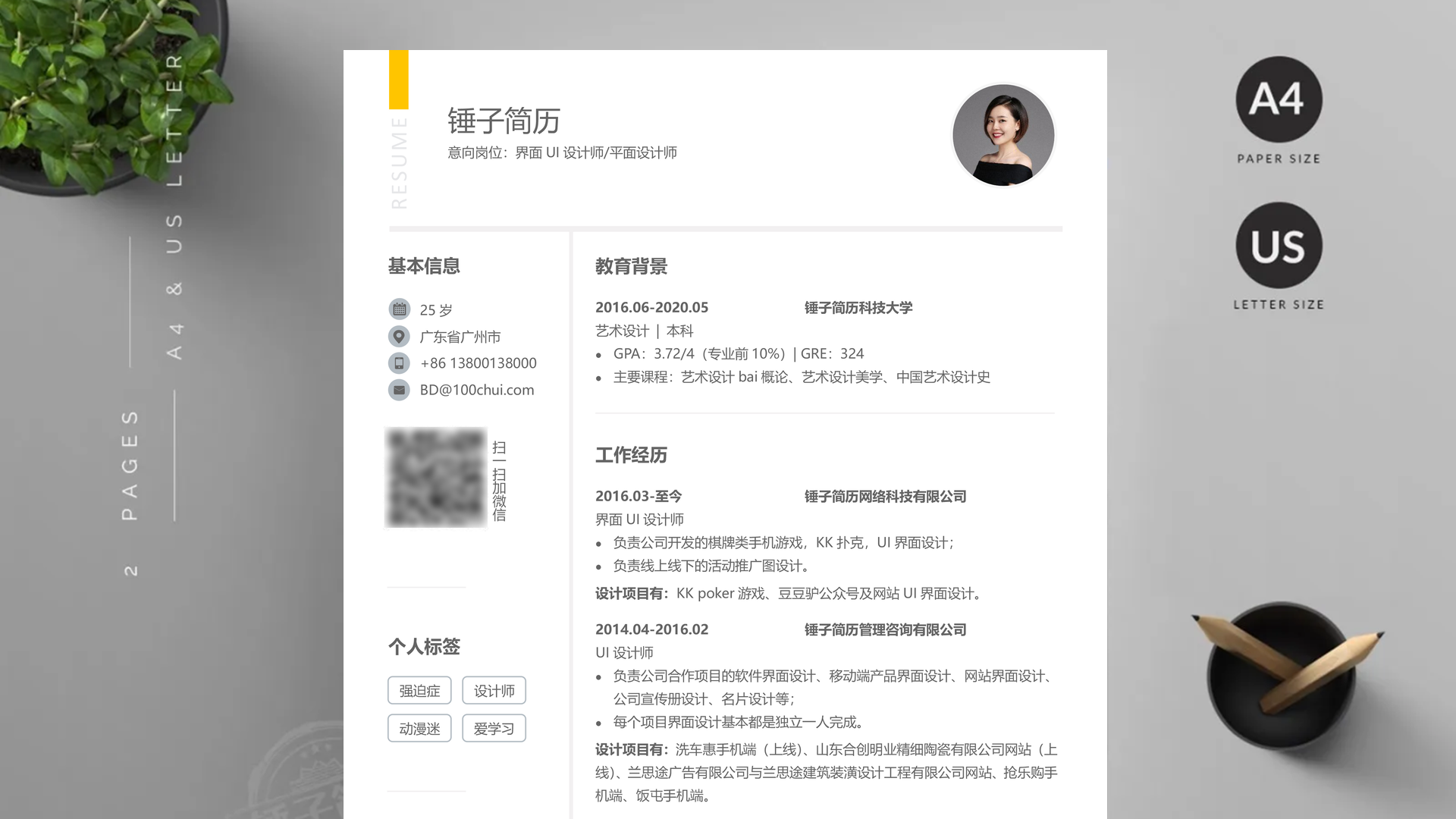 审计项目经理简历模板范文