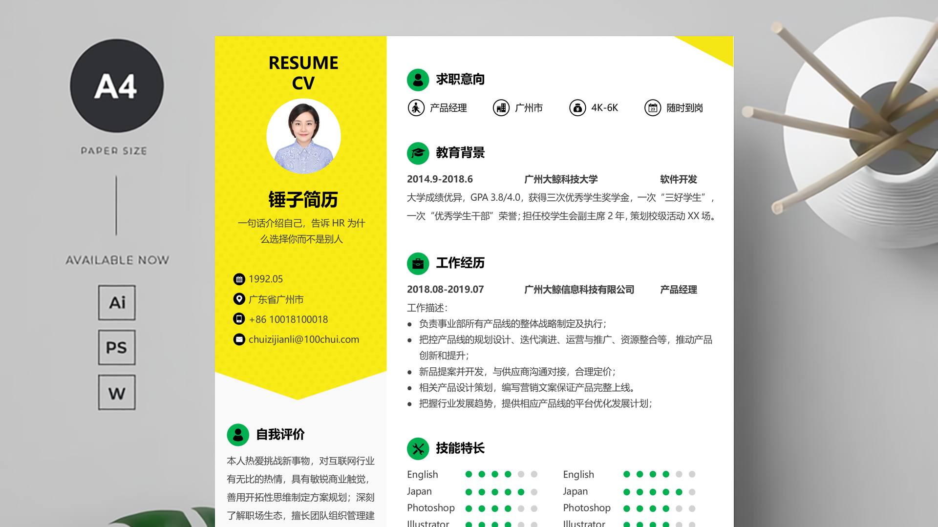 动力系统工程师简历模板-精选篇