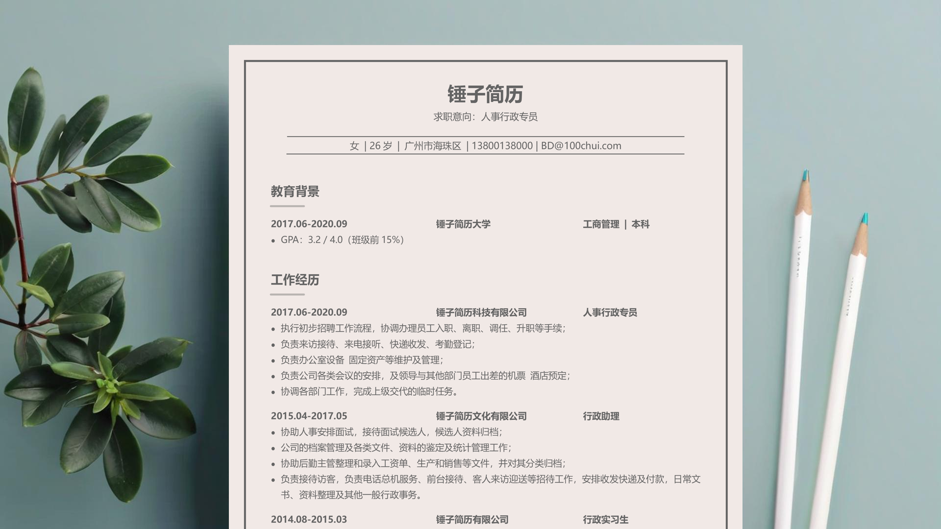 翻译-口译与笔译工作经历简历范文