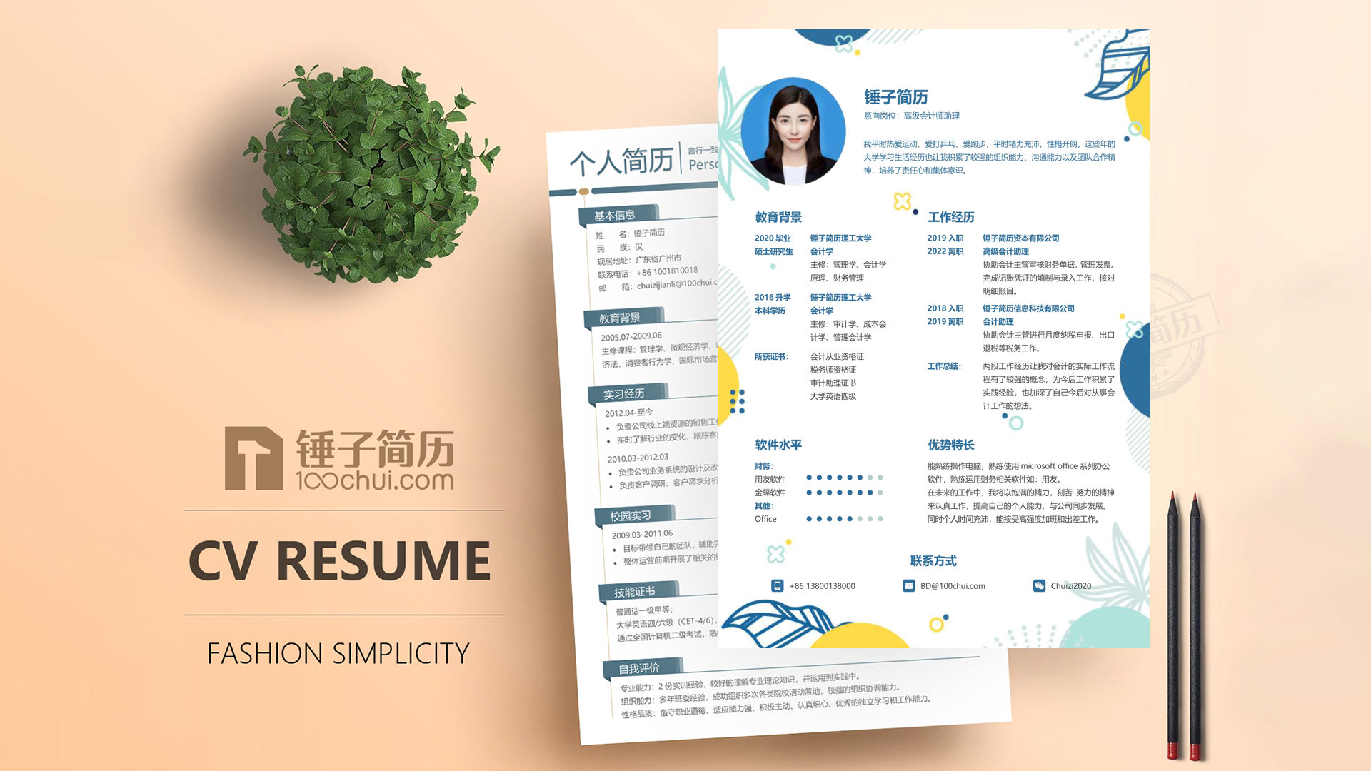 法务求职精选简历模板案例