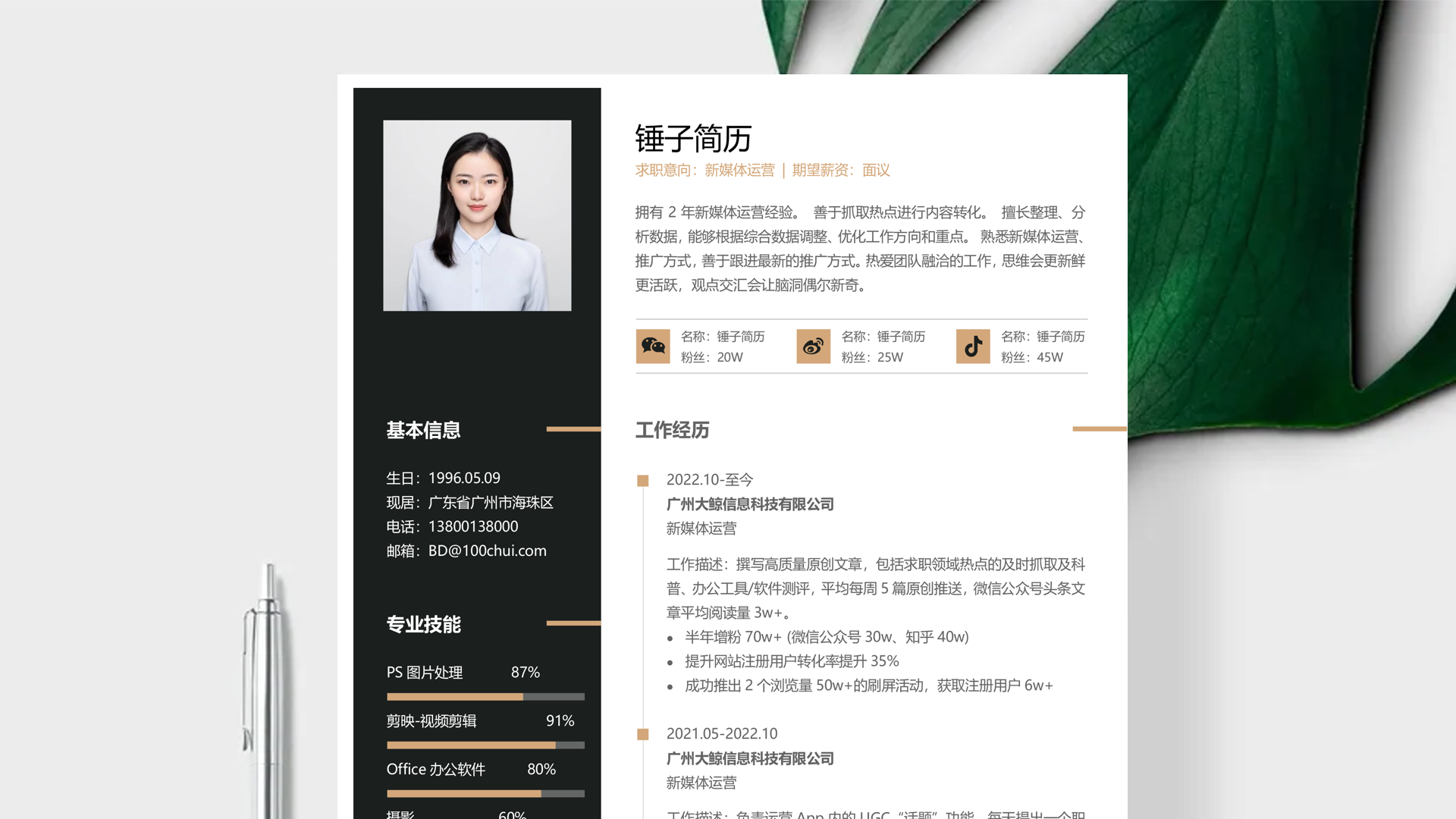 教师简历案例