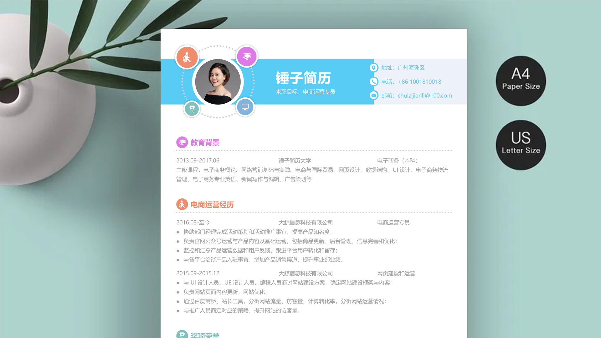 程序员工作经历简历范文