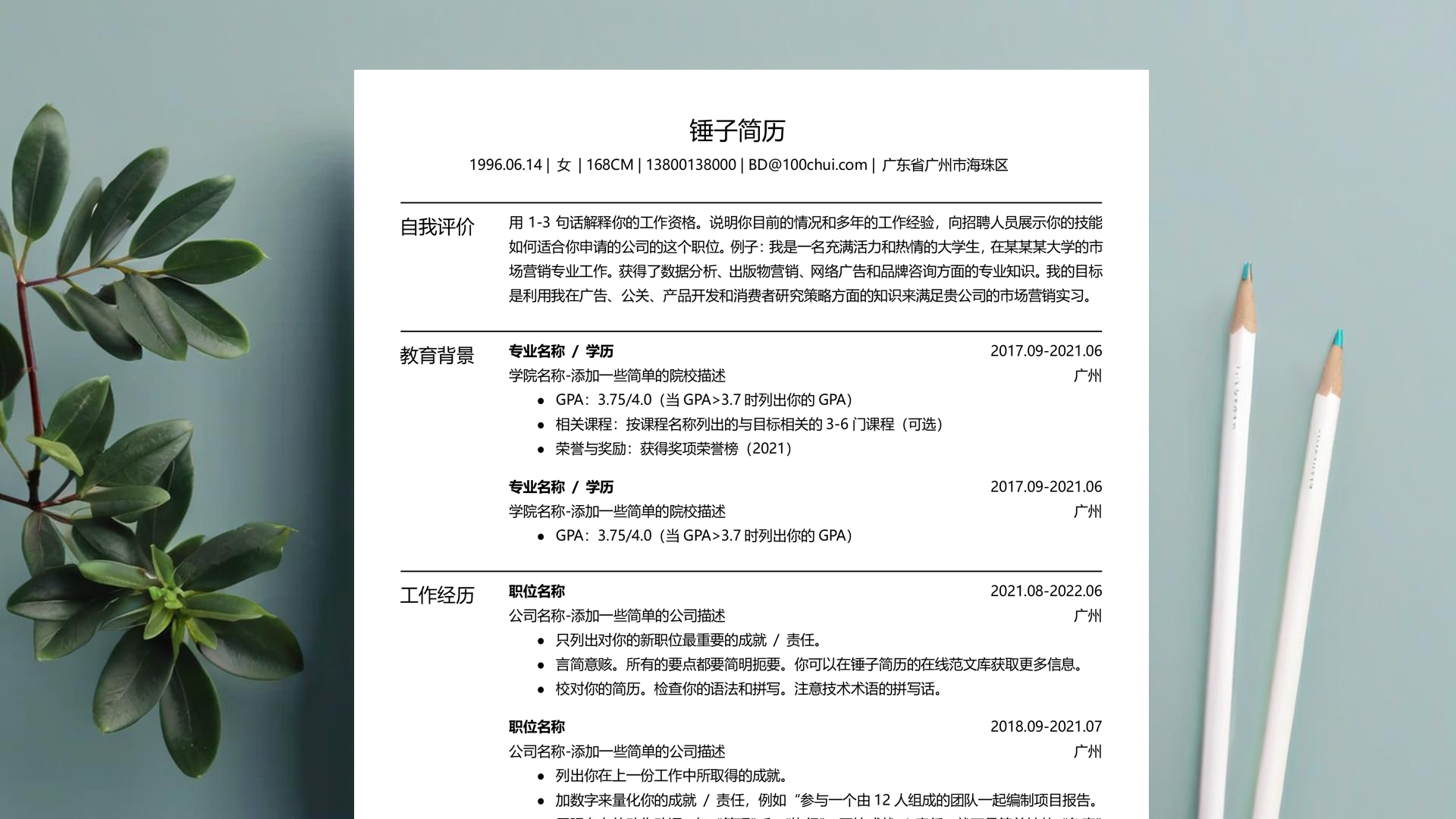 简历模板
