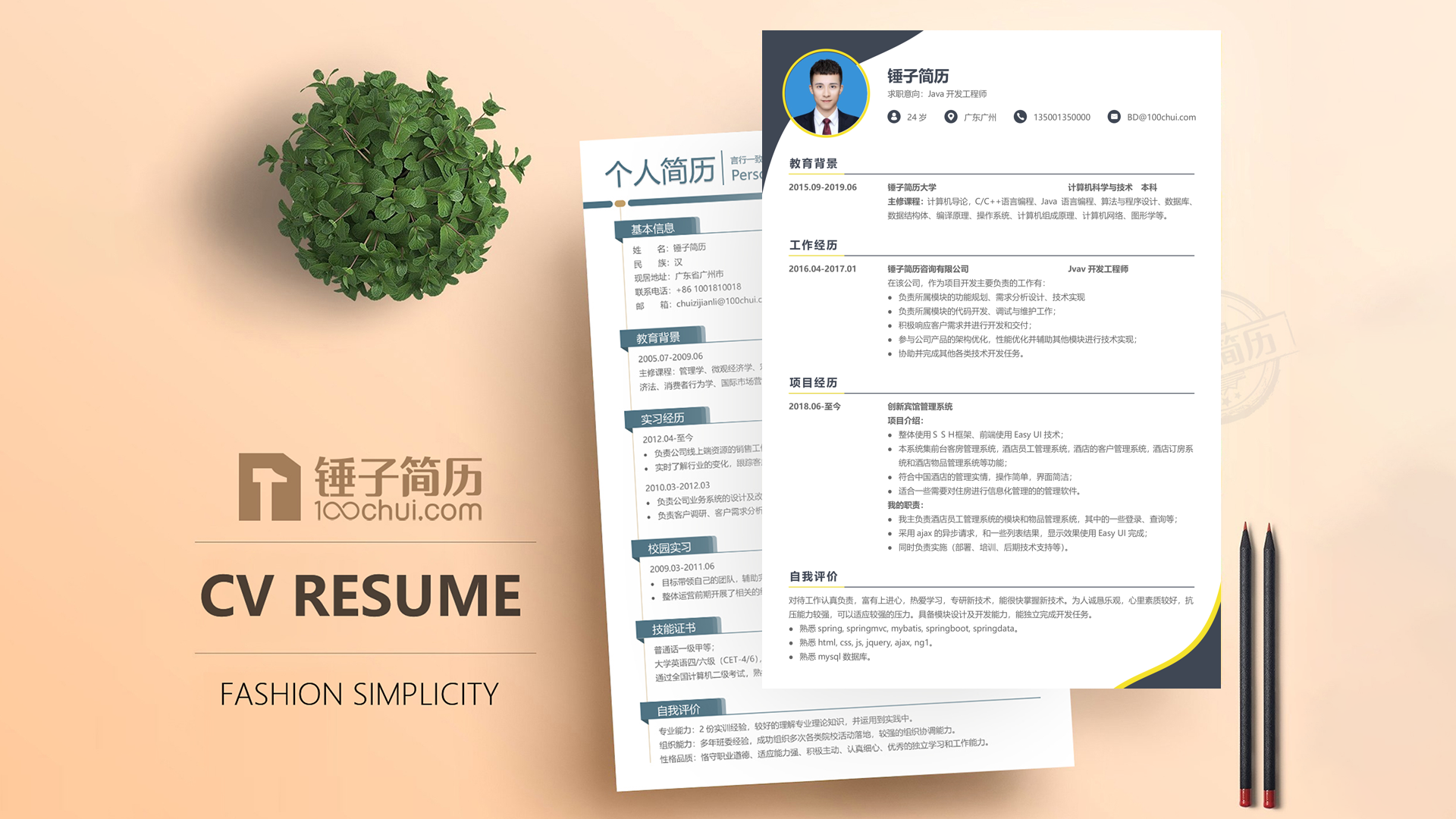 智能化系统集成工程师范文模板