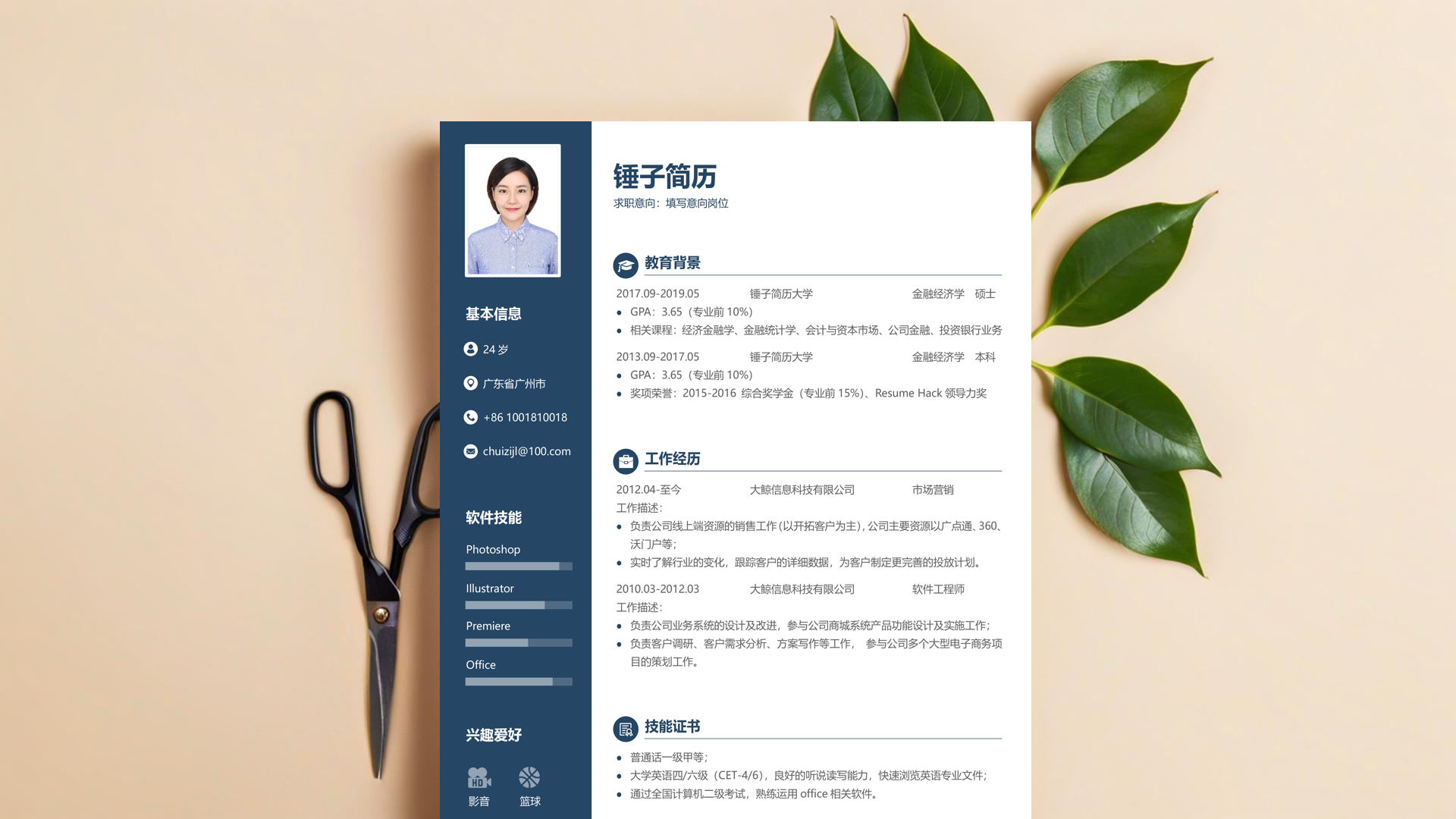 督导工作经历简历范文