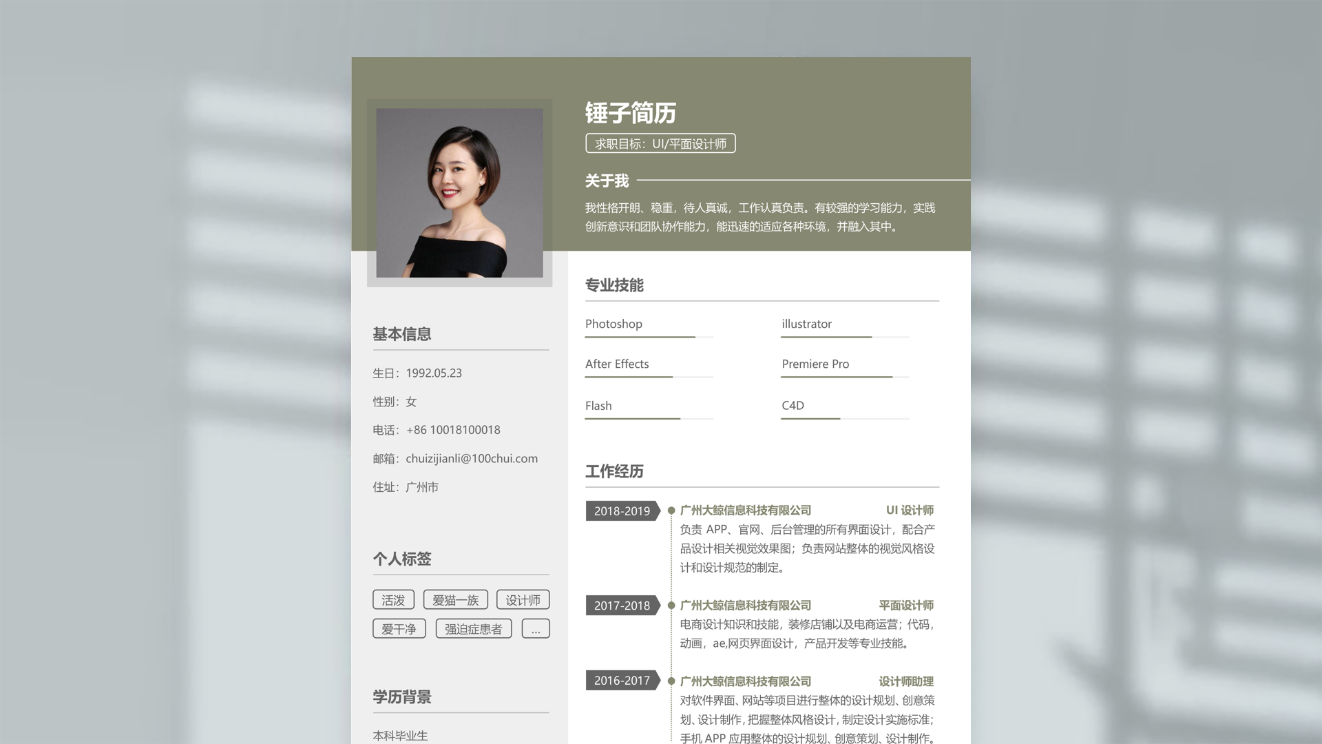 用户界面-UI设计工作经历简历范文