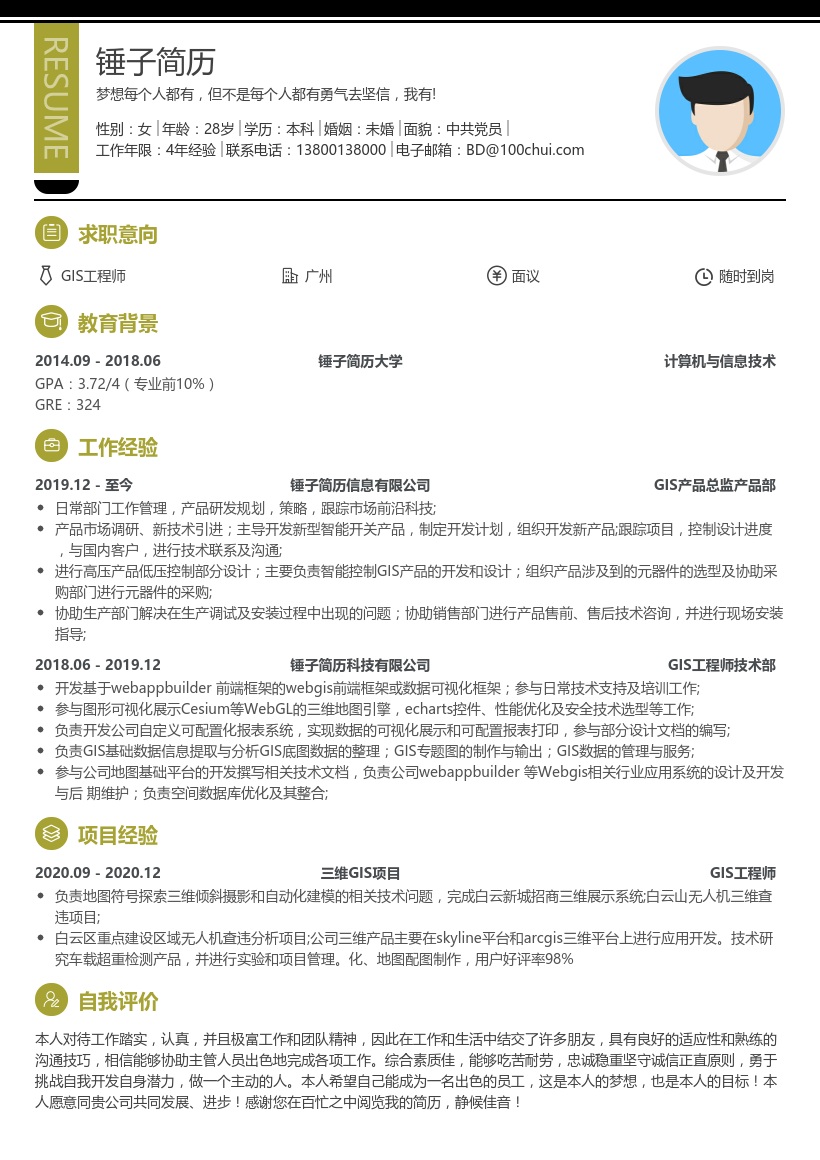 GIS工程师技术部简历