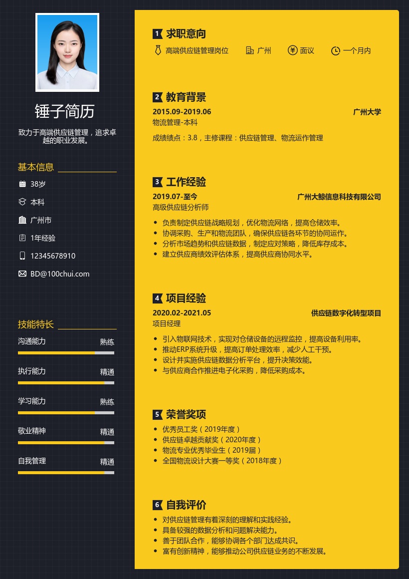高端供应链简历模板