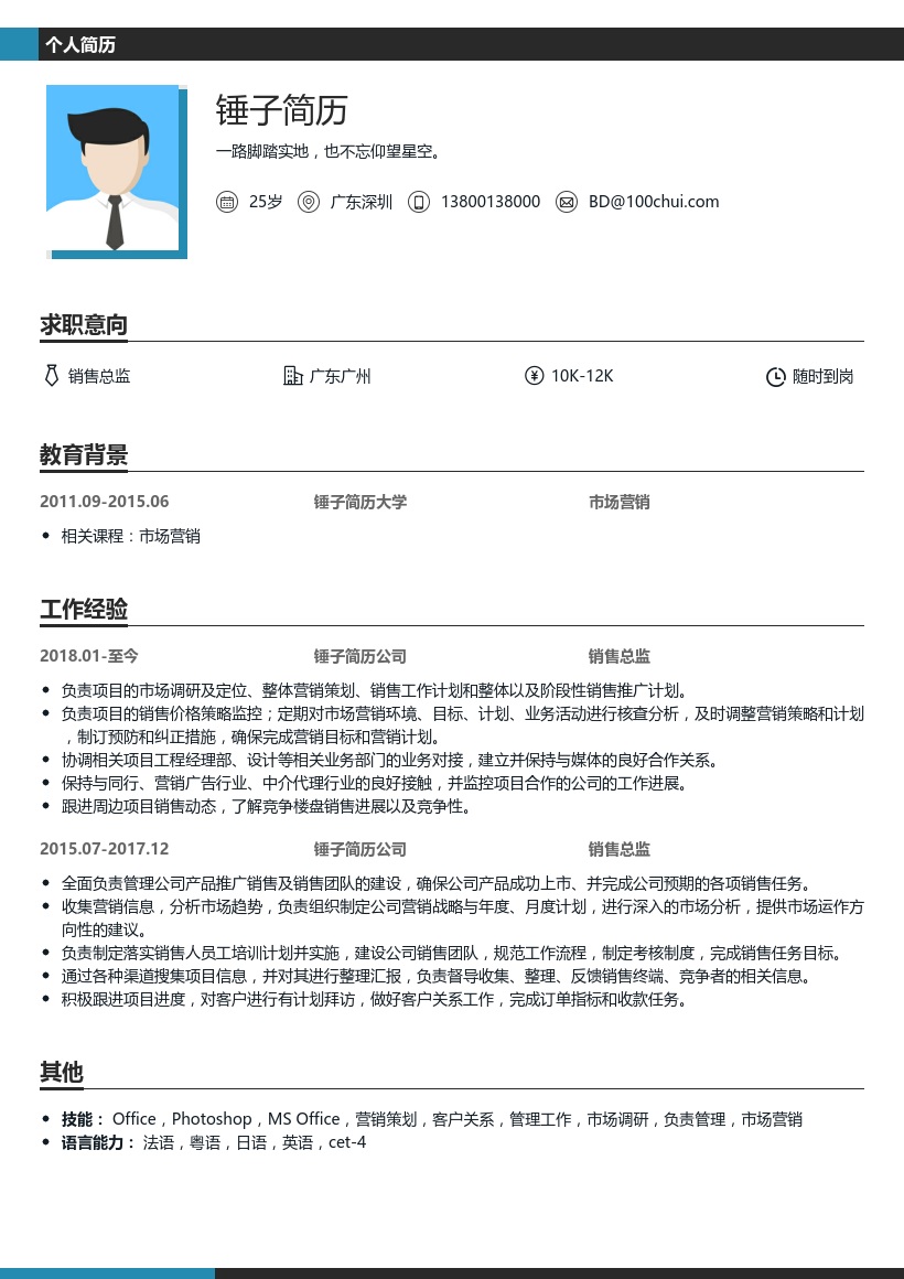 销售总监简历模板