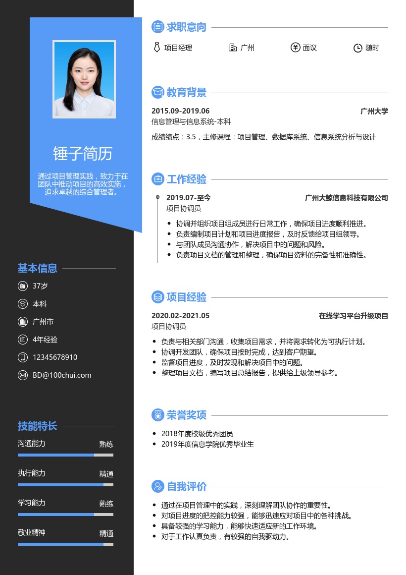 咨询项目管理简历模板