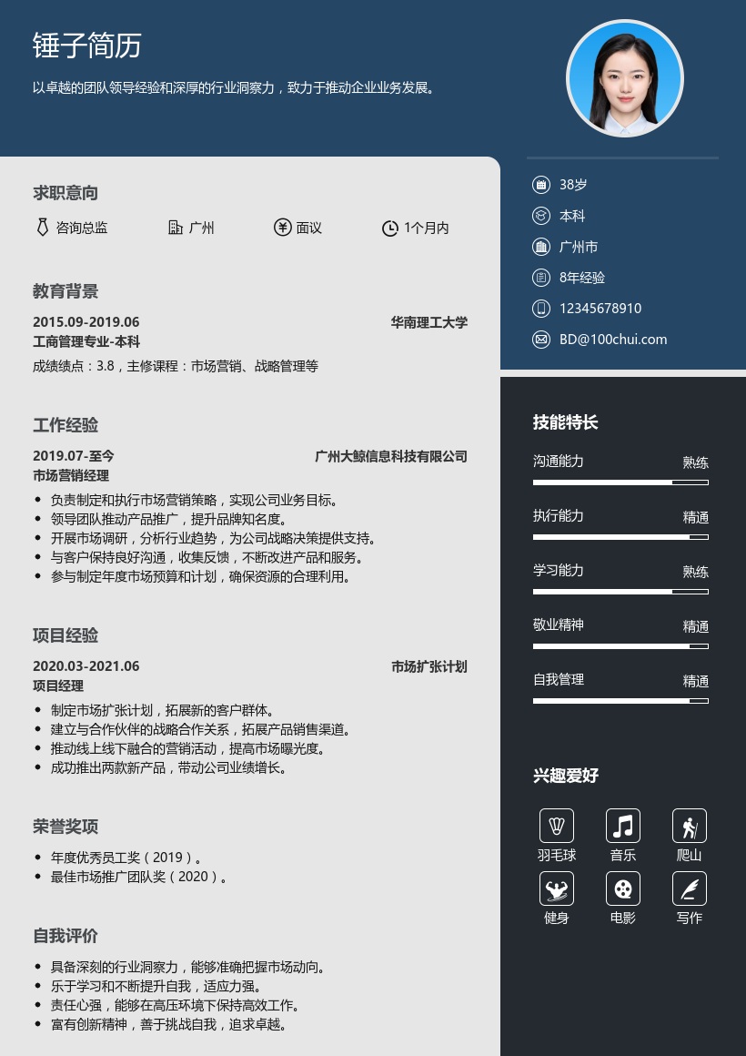 咨询总监简历模板