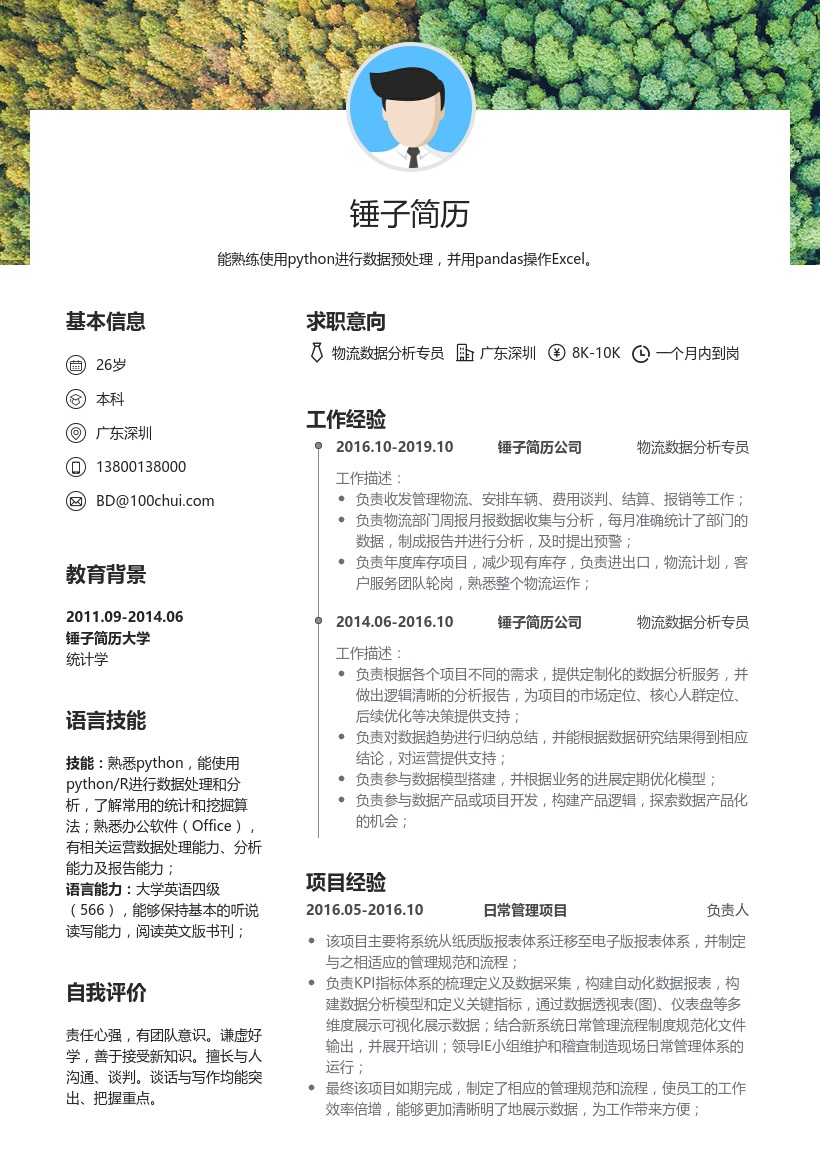 物流数据分析专员简历模板