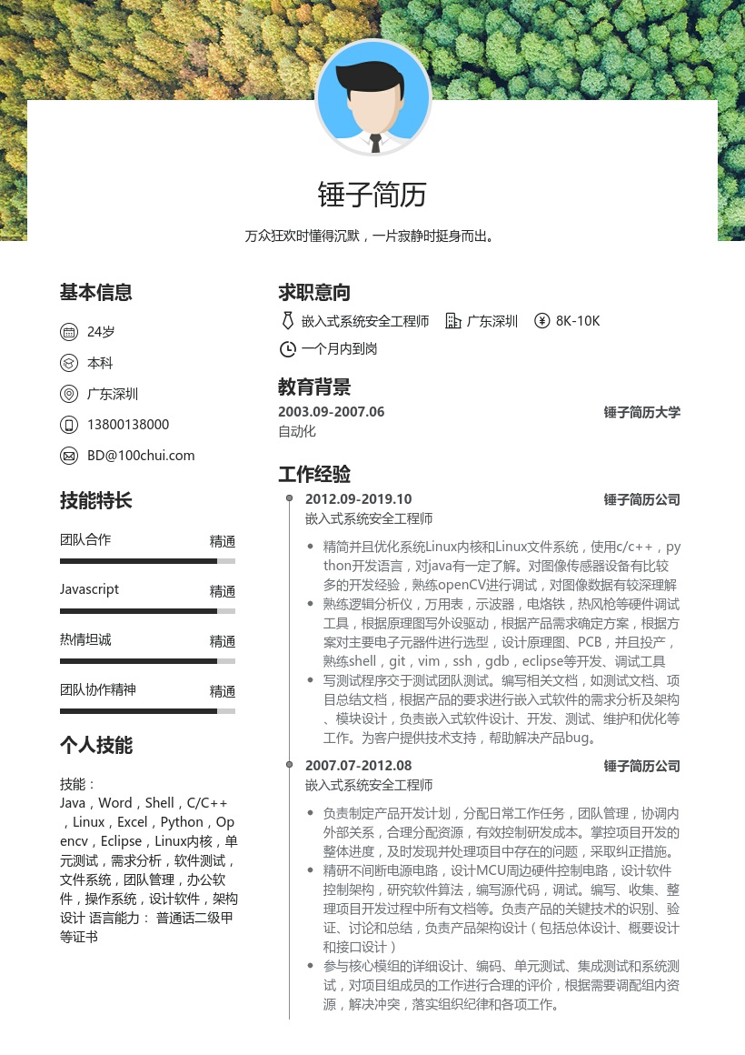 嵌入式系统安全工程师简历模板