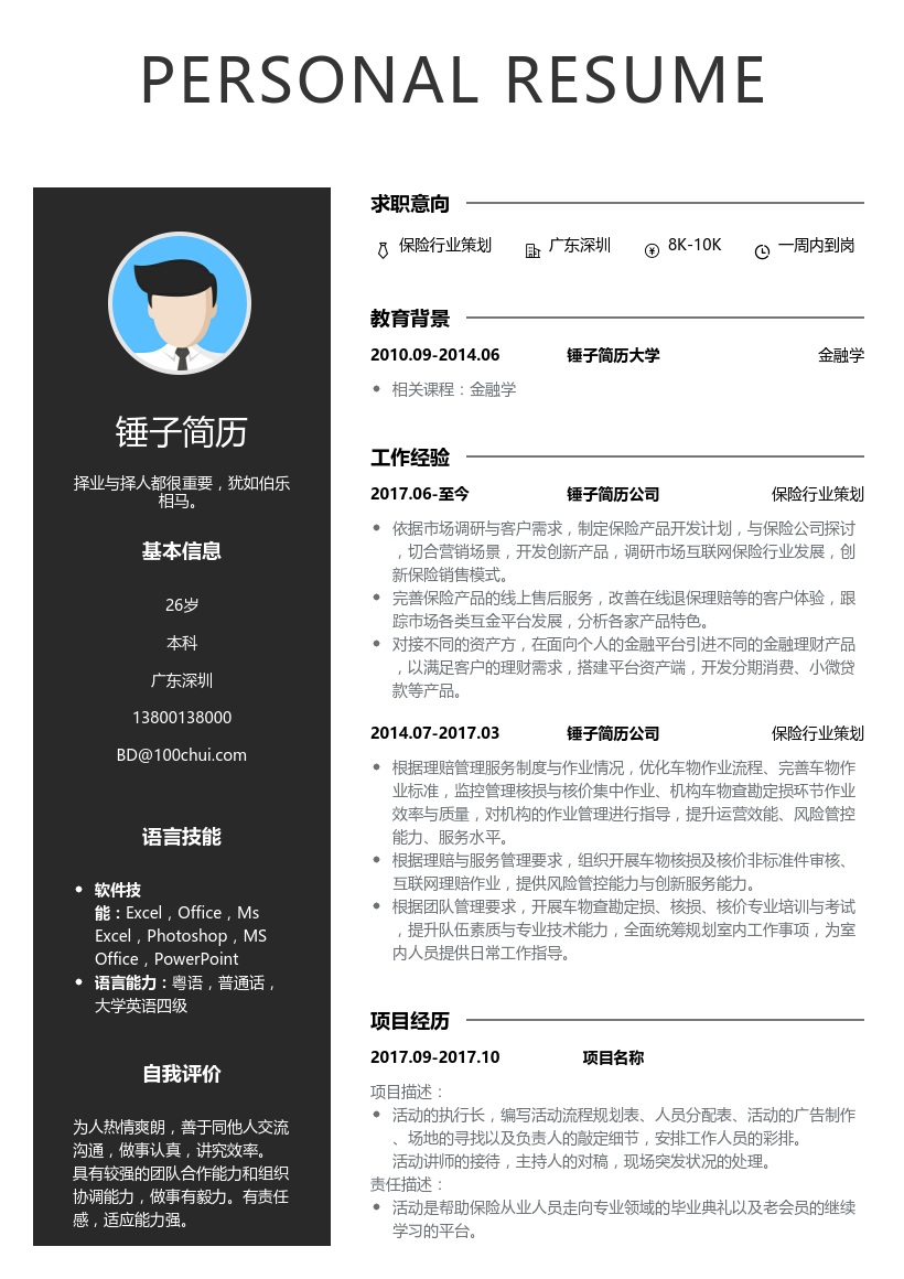 保险行业策划简历模板