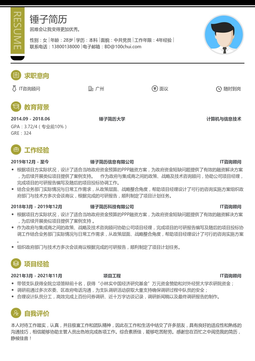 IT咨询顾问简历