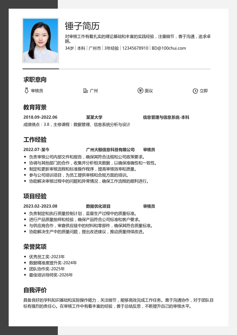 审核员简历模板