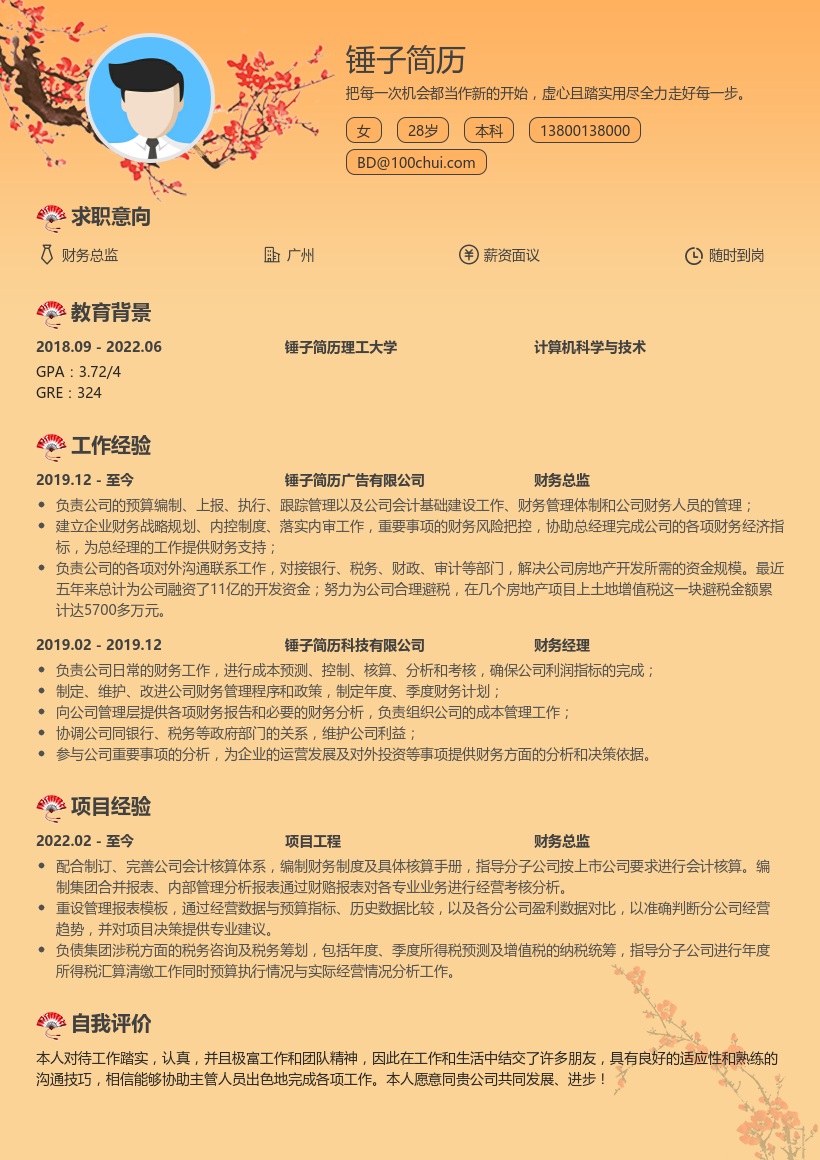 财务总监简历模板