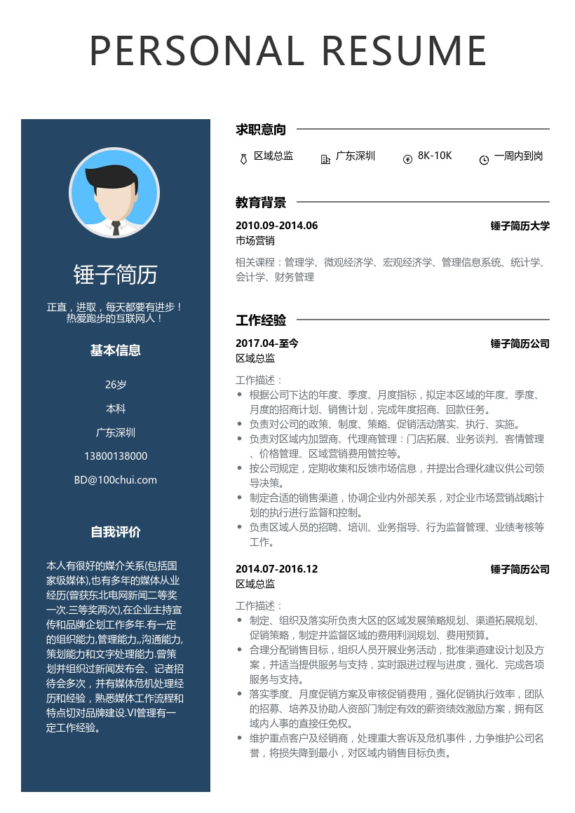 区域总监简历模板