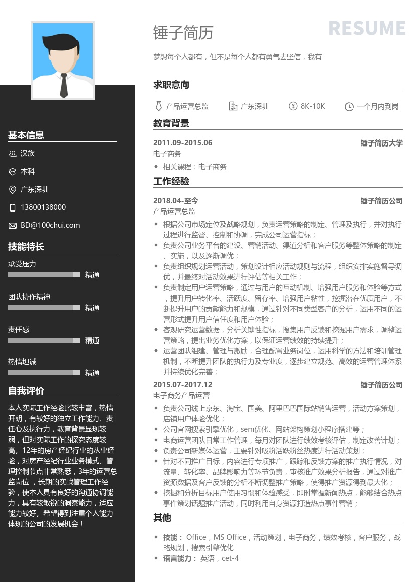 产品运营总监简历模板