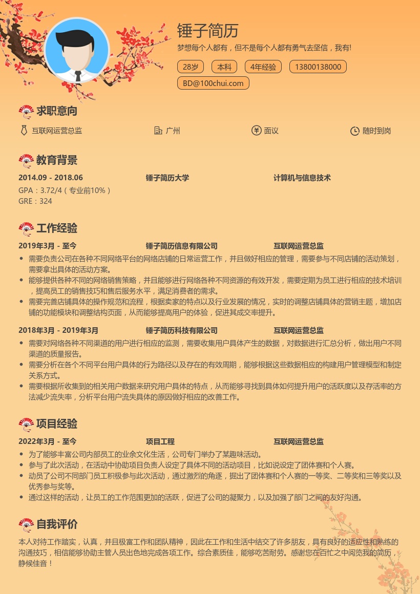 互联网运营总监简历