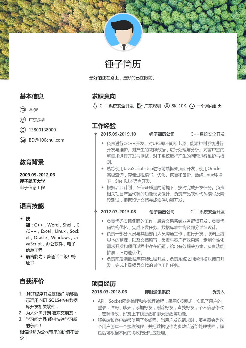 C语言系统安全开发简历模板