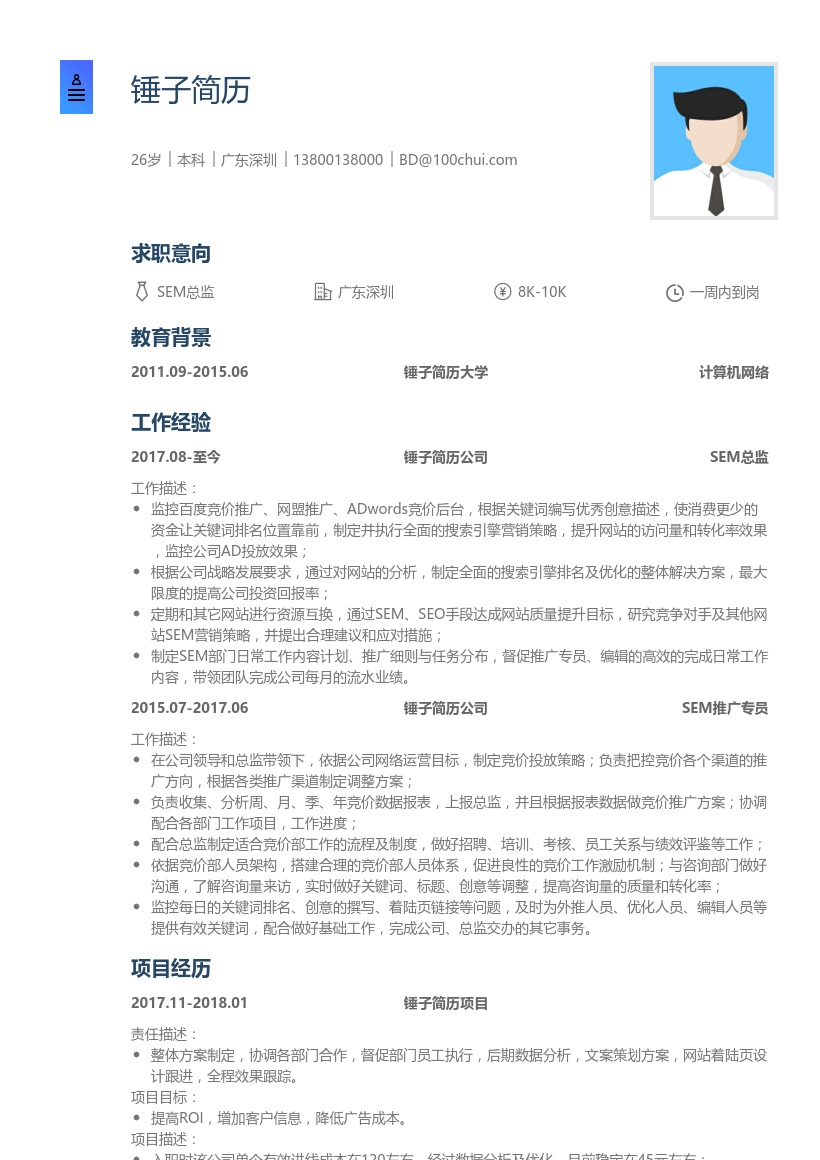 SEM总监简历模板