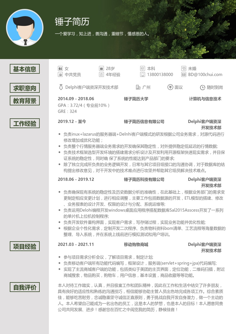 Delphi客户端资深开发技术部简历