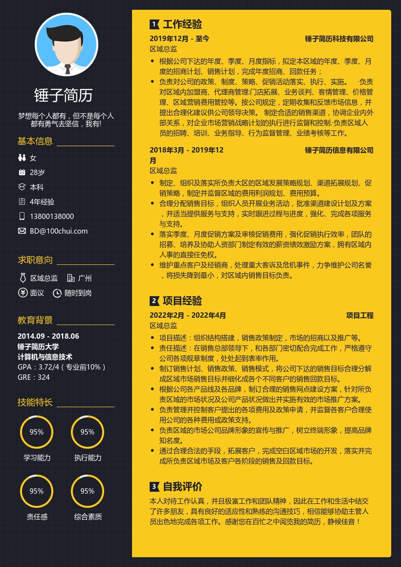 区域总监求职简历