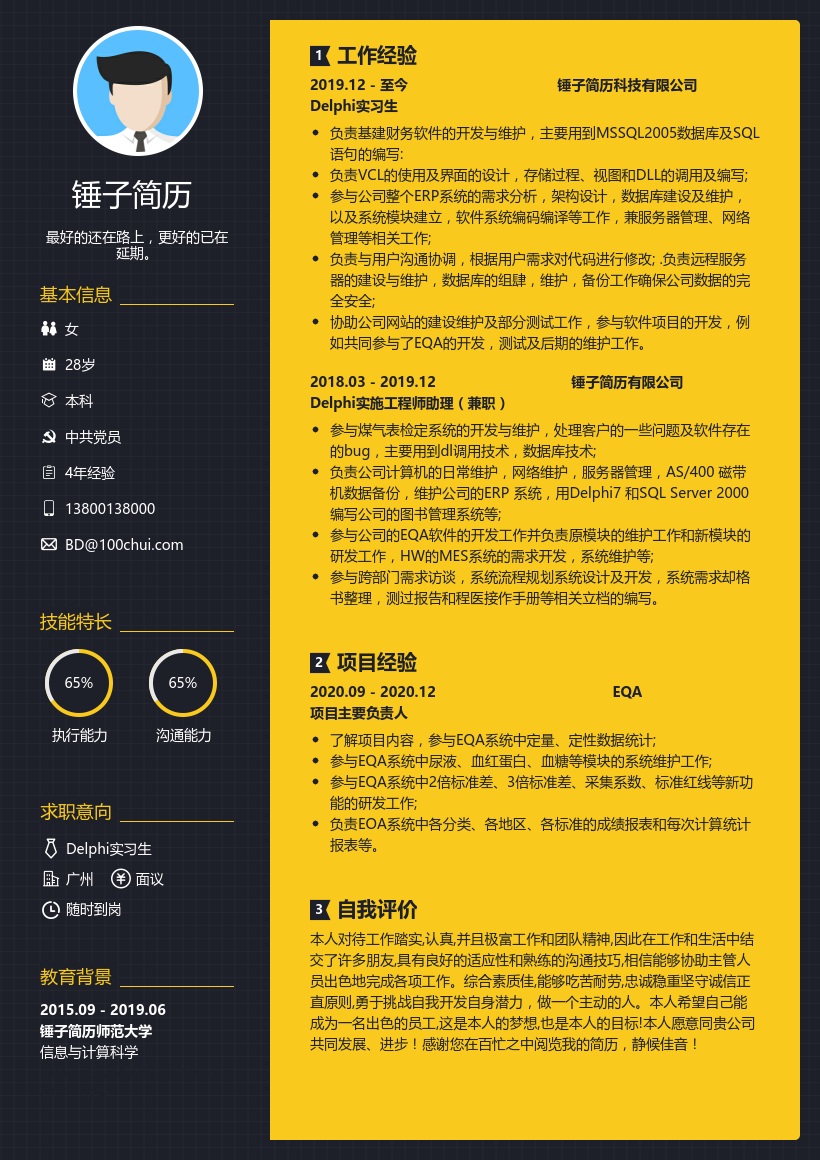 Delphi实习生简历